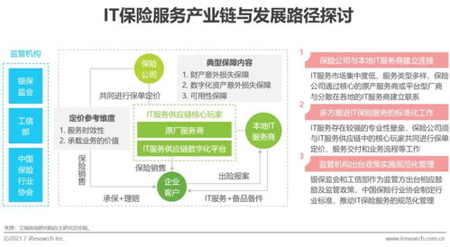 2021年中国it服务供应链数字化升级研究报告