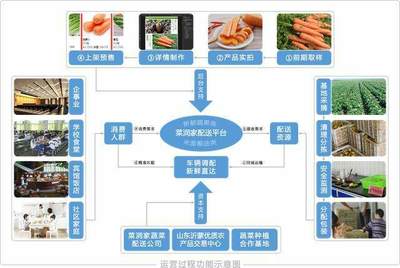 “互联网+基地+用户”打造农产品放心供应链